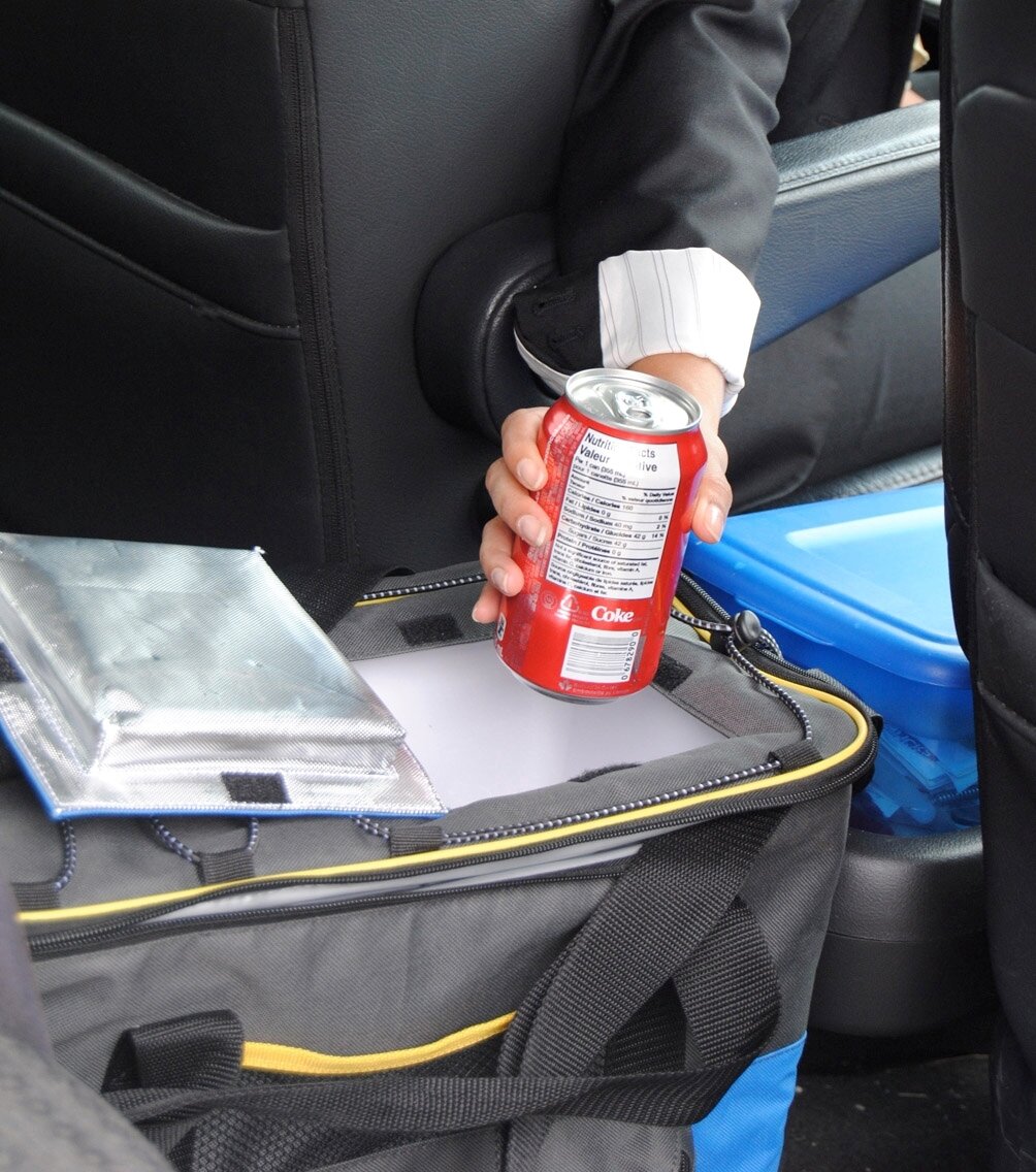 Michelin® Hybrid Portable 14L Cooler Warmer 110V AC 12V DC